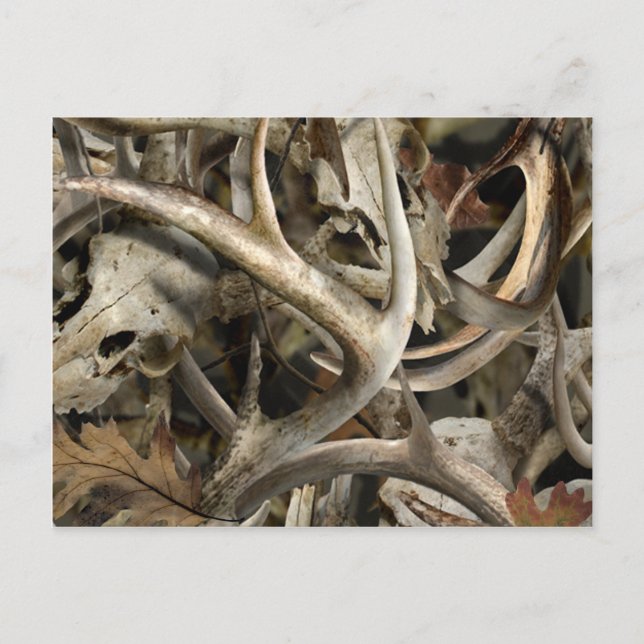 Cartão Postal Camo Deer Skulls (Frente)