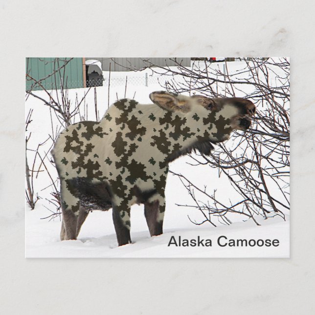 Cartão Postal Camouflage Moose (Camoose) (Frente)