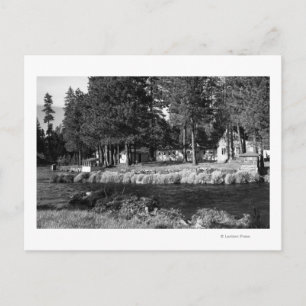 Cartão Postal Camp Sherman, visualização Oregon de Rogers Cabi