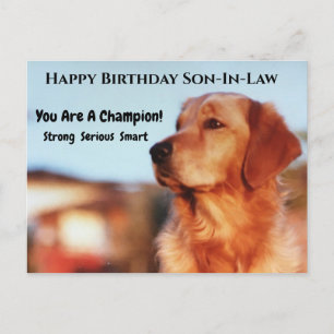 Cartão Postal Campeão Genro Aniversário Retriever Dourado