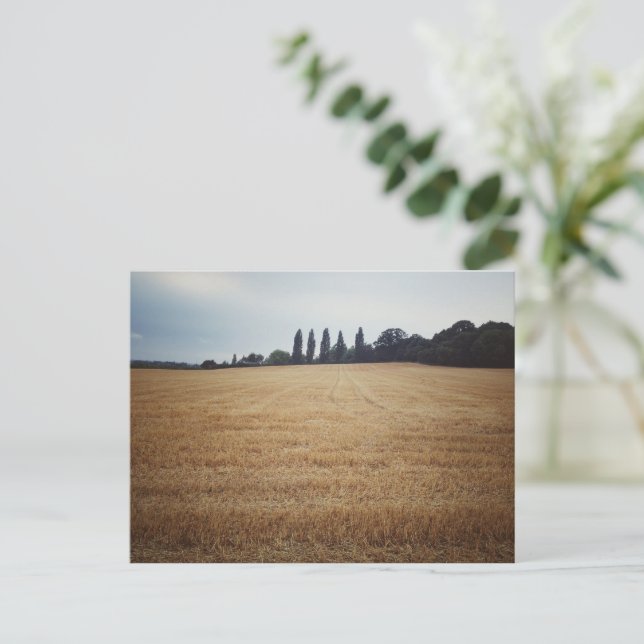 Cartão Postal Campestre da Inglaterra (Em pé/Frente)