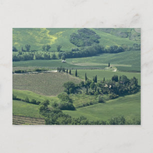 Cartão Postal Campestre perto de Montepulciano, Val d'Orcia,