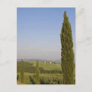Cartão Postal Campestre perto de Pienza. Val d'Orcia, Siena