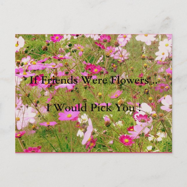 Cartão Postal Campo De Amizade De Flores Rosa (Frente)