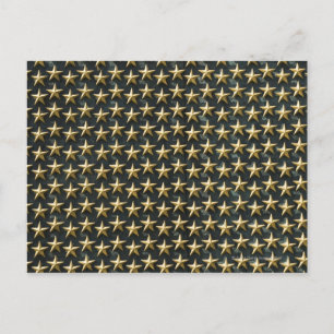 Cartão Postal Campo de estrelas de ouro no Memorial da Segunda G