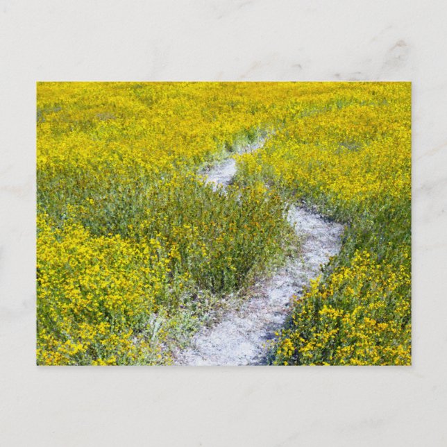 Cartão Postal Campo de flor amarela (Frente)