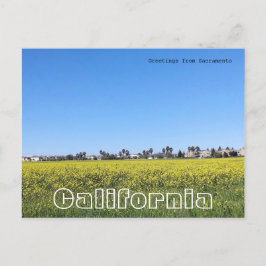 Cartão Postal Campo de flores de mostarda