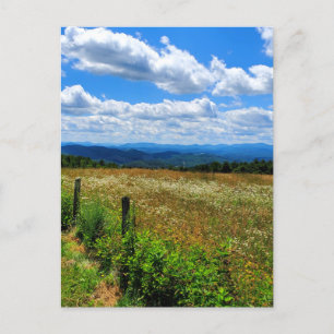 Cartão Postal Campo de flores e montanhas