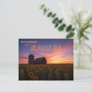 Cartão Postal Campo de Girassóis do Kansas com Celeiro