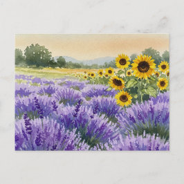 Cartão Postal Campo de Girassóis e Lavanda Verão Postcard de Pro