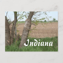Cartão Postal Campo de Indiana