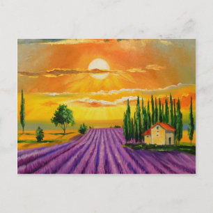 Cartão Postal Campo de lavanda ao pôr do sol