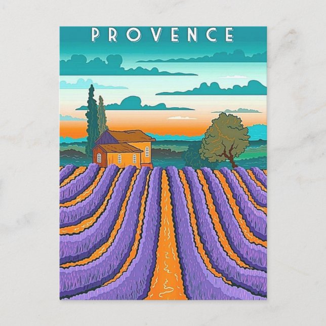 Cartão Postal Campo de Lavanda Provença França (Frente)