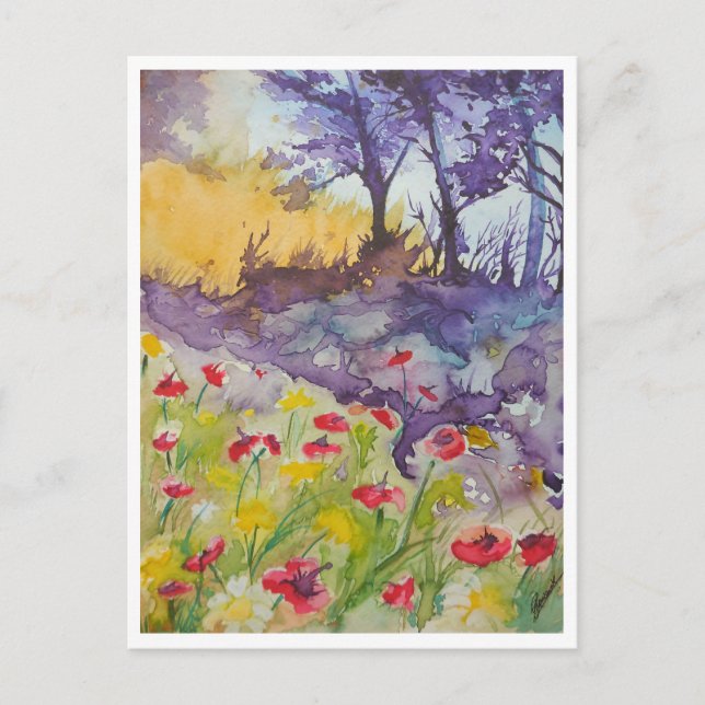 Cartão Postal Campo de Papoula Ventoso (Frente)