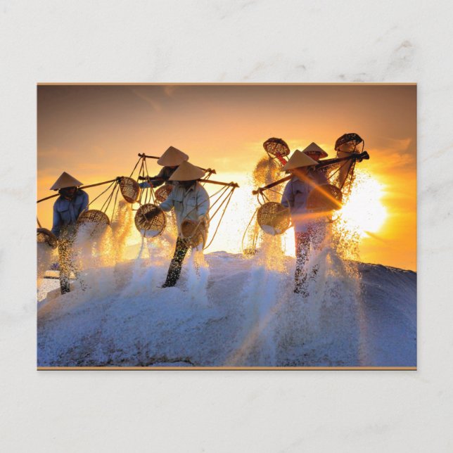 Cartão Postal Campo de Sal do Vietnã (Frente)