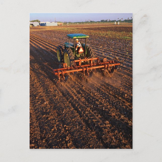 Cartão Postal Campo de teste de algodão (Frente)