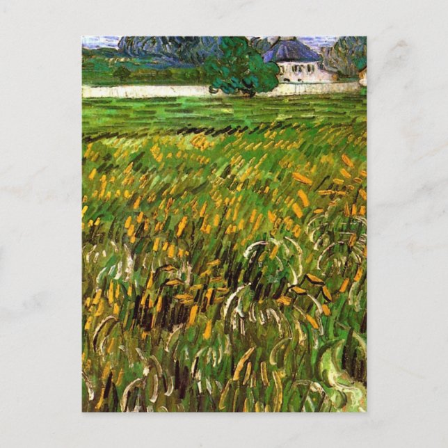 Cartão Postal Campo de trigo em Auvers por Vincent van Gogh (Frente)