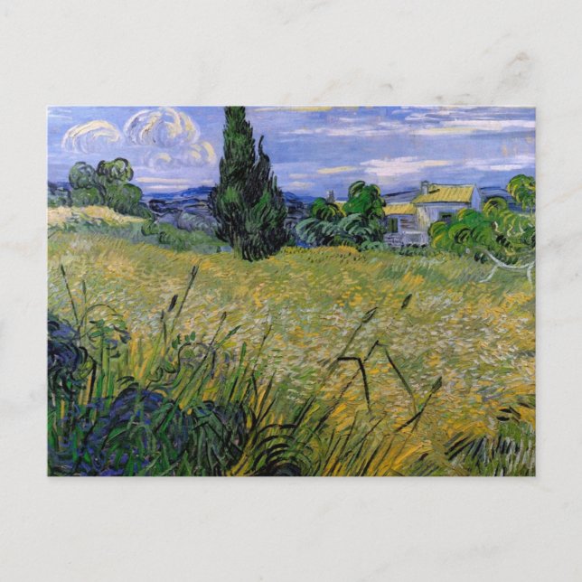 Cartão Postal Campo de trigo verde com Cypress de Van Gogh. (Frente)