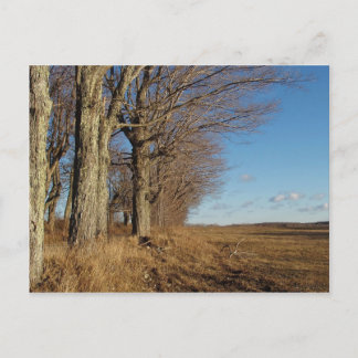 Cartão Postal Campo I de novembro