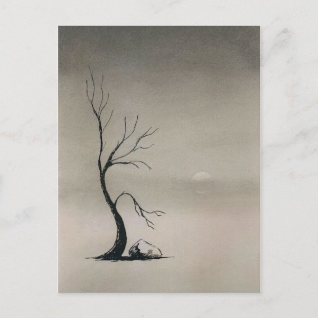 Cartão Postal campos cobertos por neblina (Frente)