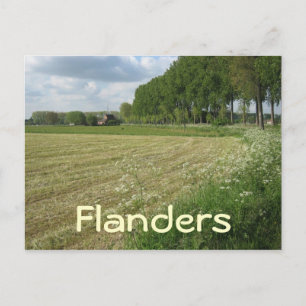 Cartão Postal Campos da Flandres