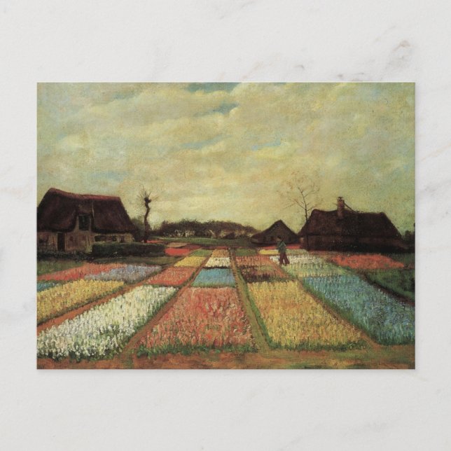 Cartão Postal Campos de Bulbos de Vincent van Gogh (Frente)