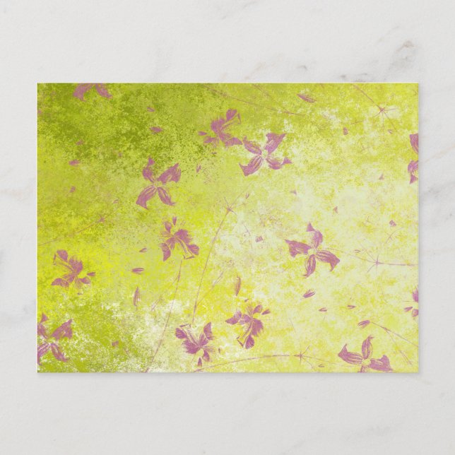 Cartão Postal Campos de Flor Rosa (Frente)