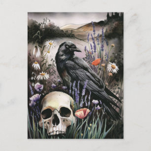 Cartão Postal Campos de Flores e de Flores Selvagens de Cores Aq