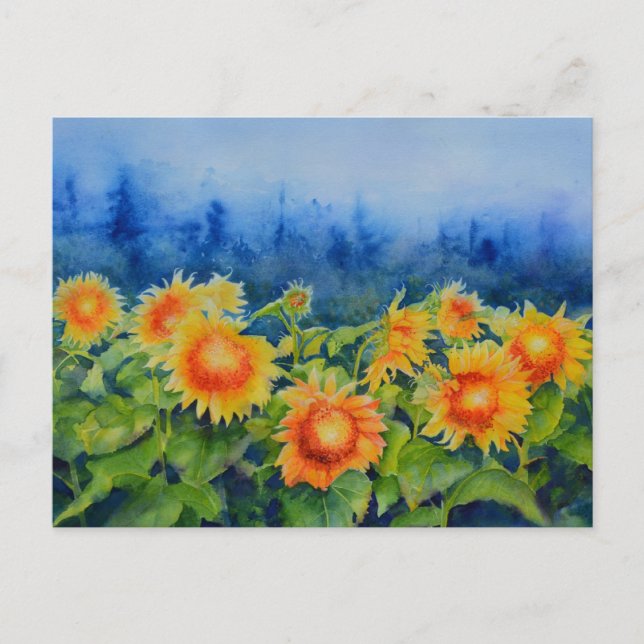 Cartão Postal Campos de girassol (Frente)