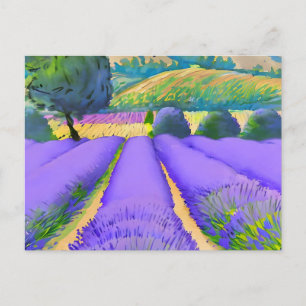 Cartão Postal Campos de Lavanda natural