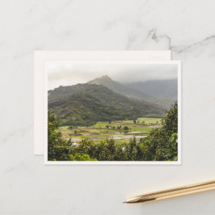 Cartão Postal Campos de Tarot de Kauai em Hanalei a partir de Pr