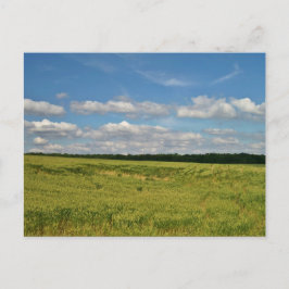 Cartão Postal Campos de Trigo
