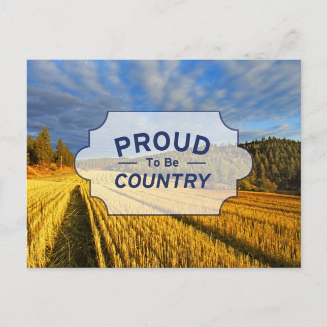 Cartão Postal Campos De Trigo Após Colheita (Frente)