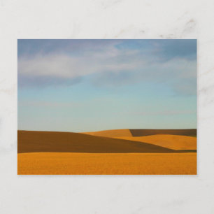 Cartão Postal Campos de trigo ouro na região de Palouse