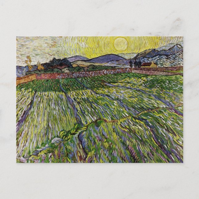 Cartão Postal Campos de trigo por Van Gogh (Frente)