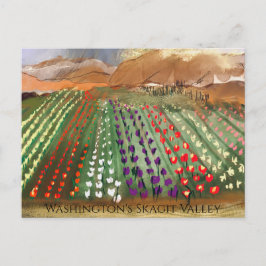 Cartão Postal Campos de Tulipa da WA Skagit Valley Sonhando na P