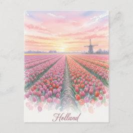 Cartão Postal Campos de Tulipas Moinho de Vento Holanda Países B