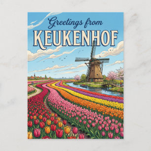 Cartão Postal Campos de Tulipas & Moinhos de Vento, Lisse Holand