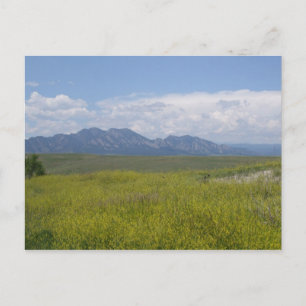 Cartão Postal Campos verdes e Dourados