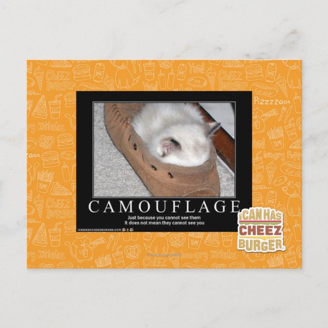 Cartão Postal Camuflagem (Frente)