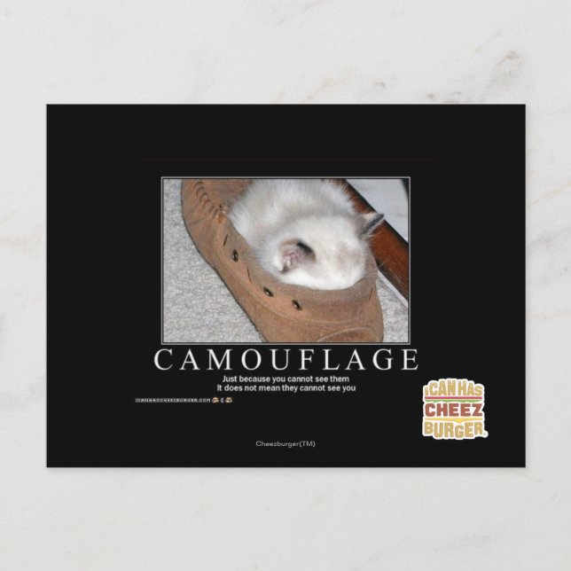 Cartão Postal Camuflagem (Frente)