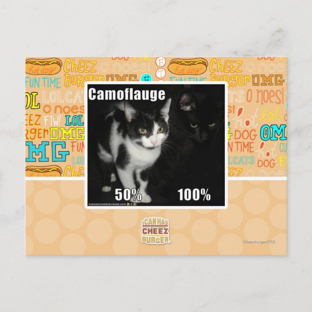 Cartão Postal Camuflagem (Frente)