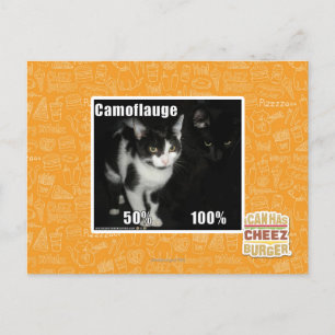 Cartão Postal Camuflagem