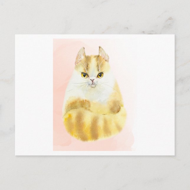 Cartão Postal Cana-d-água de gato (Frente)