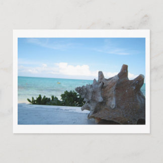 Cartão Postal Cana pelo oceano