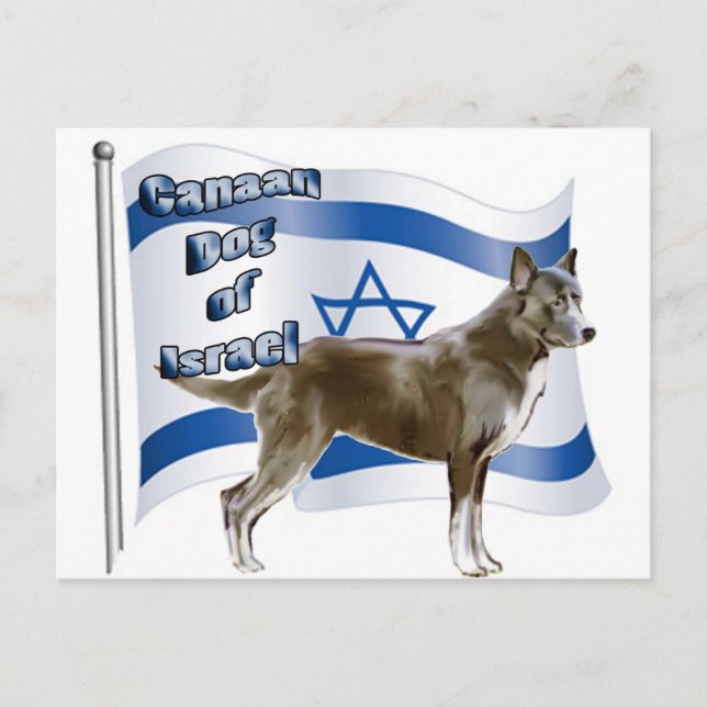 Cartão Postal Canaã de Israel (Frente)