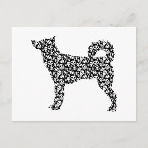 Cartão Postal Canaan Dog