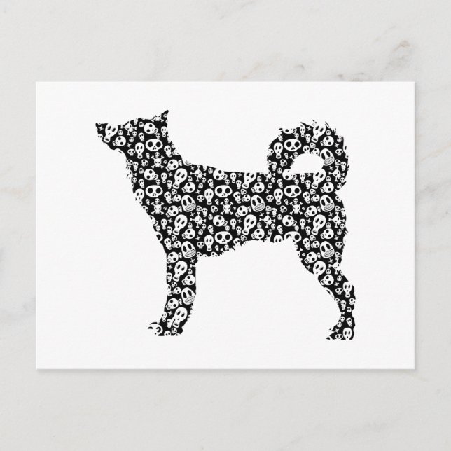 Cartão Postal Canaan Dog (Frente)