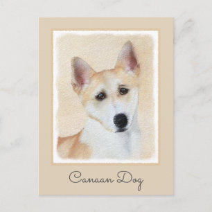 Cartão Postal Canaan Dog Painting - Arte de Cachorro Original