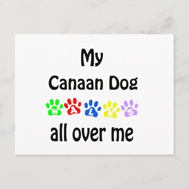 Cartão Postal Canaan Dog Walks Design (Frente)